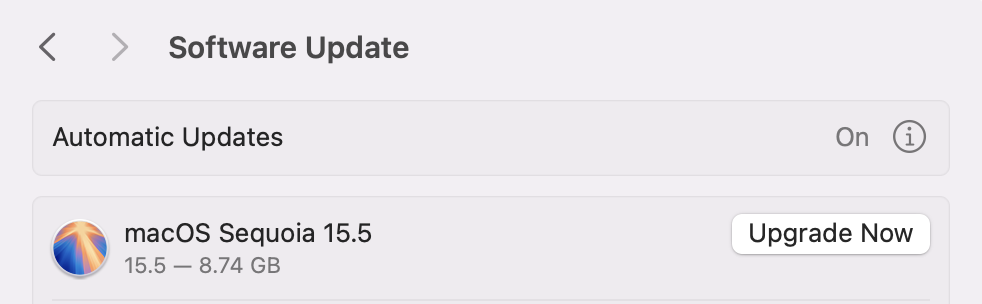 Allow your Mac to check for any outstanding updates or upgrades, If any are found you can click Upgrade or Update Now to ensure your software is compatible with all your apps, including the Office suite.