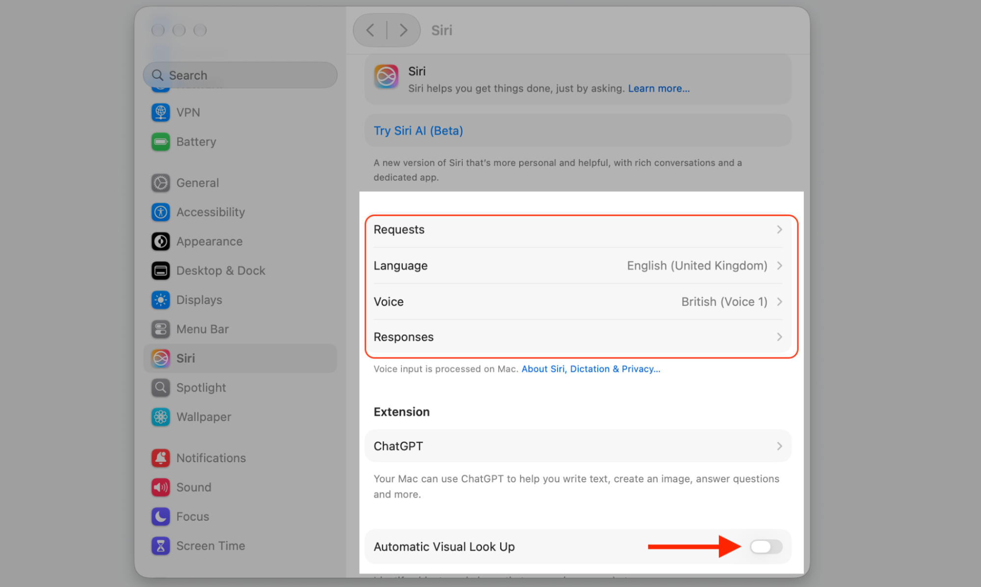 Siri pane in macOS System Settings highlighting Requests, Language, Voice, and the Automatic Visual Look Up toggle on this Apple computer.