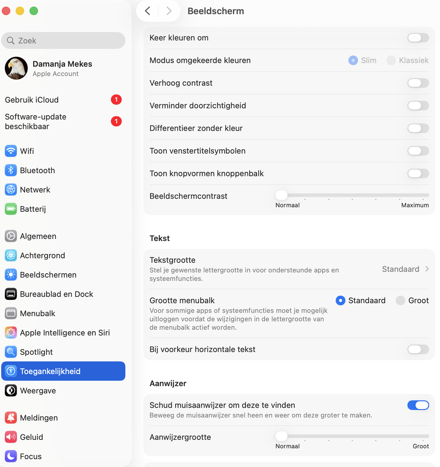 Ga naar Toegankelijkheid om de transparantie van het beeldscherm te beheren.
