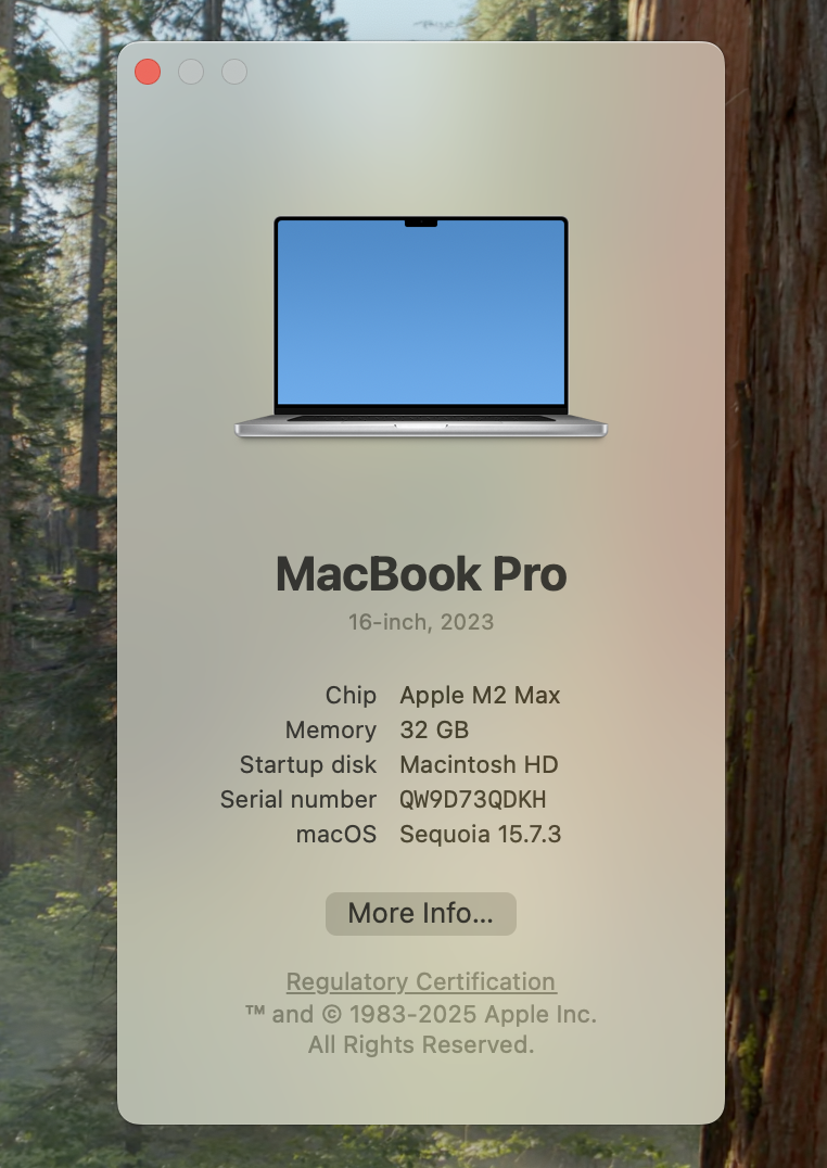 Open the Apple menu and select About This Mac to check your MacBook Pro model, chip, startup disk, and the macOS version your Mac is running now.