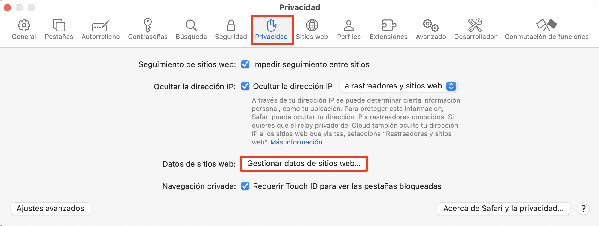 El siguiente paso en este proceso es ir a Ajustes, hacer clic en la pestaña Privacidad y, a continuación, seleccionar Administrar datos del sitio web para ver las opciones para vaciar la caché de Safari en Mac.