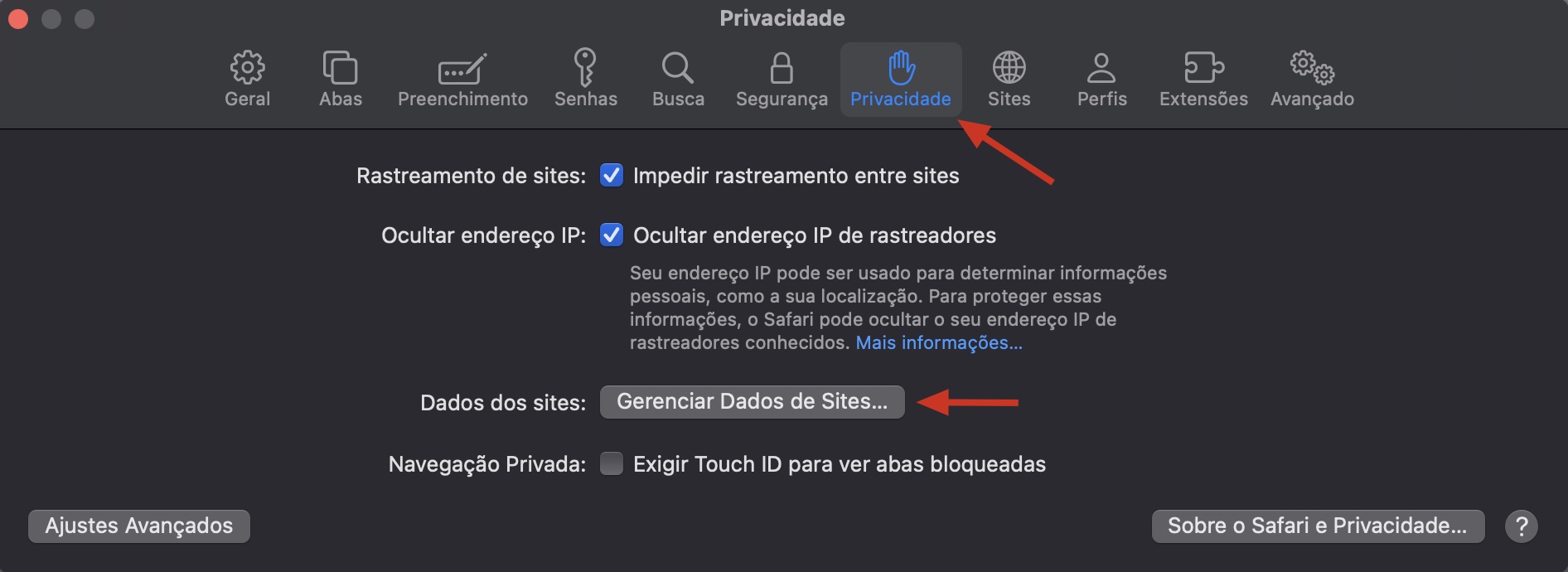 O menu de ajustes do Safari no Mac mostra a seção Privacidade. Clique em Gerenciar Dados de Sites para visualizar todos os arquivos de cache.