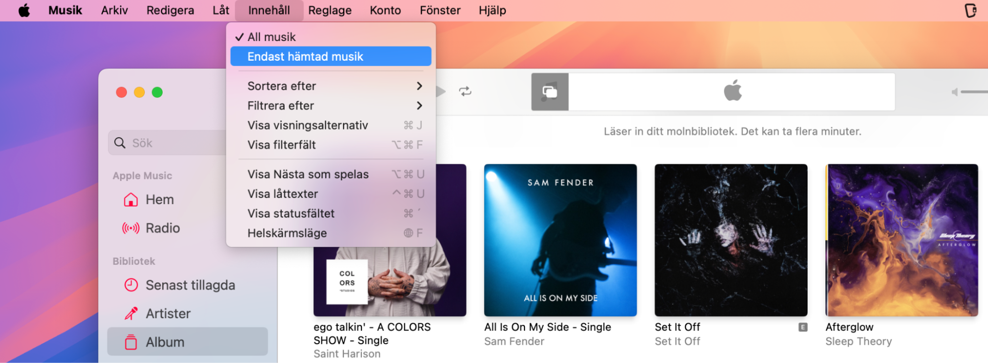 I menyraden, välj fliken Innehåll och klicka på Endast hämtad musik för att se listan över musik som är lagrad på din Mac