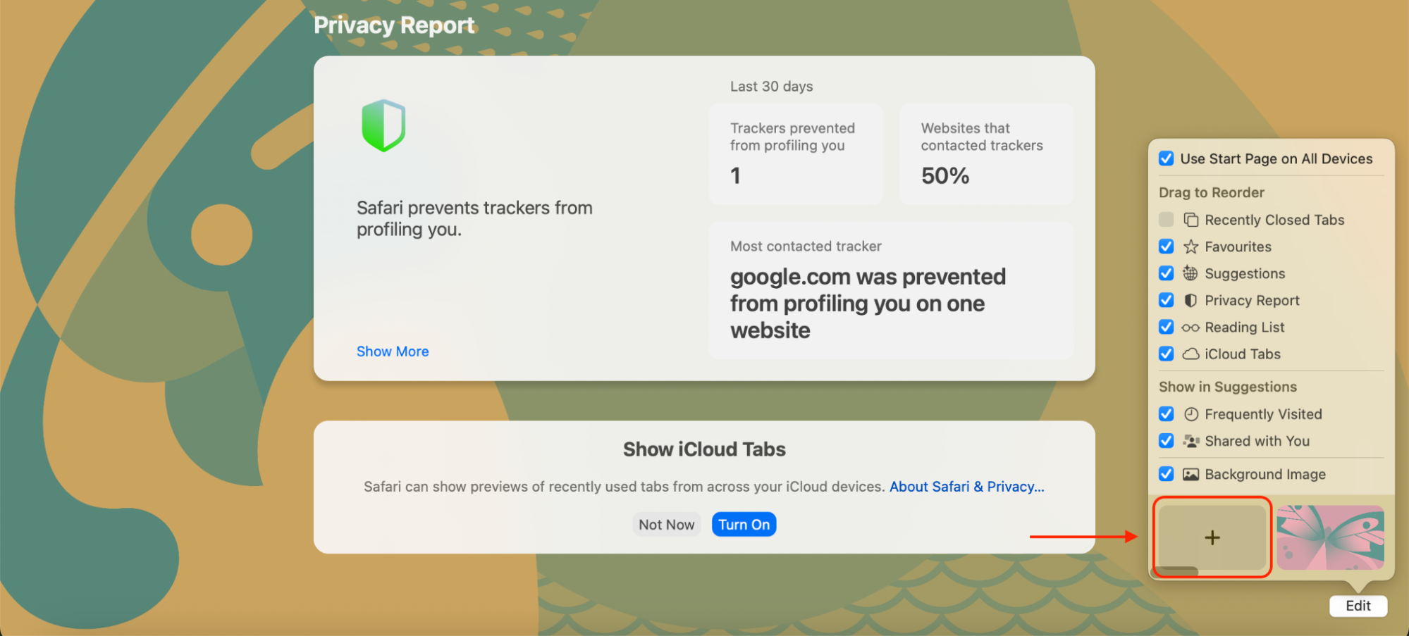 Click the first tile marked with a + symbol to upload a custom image from your Mac as your Safari Start Page background.