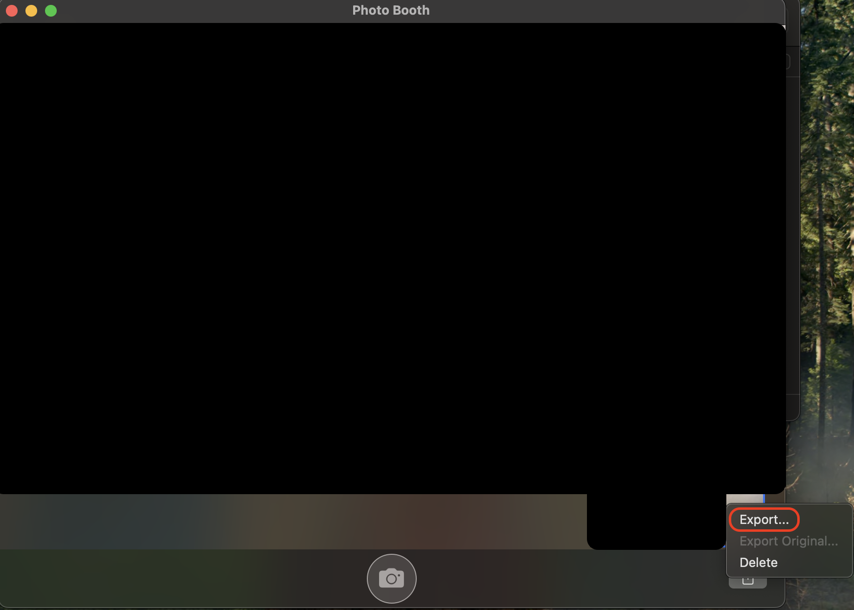 Right-click the captured thumbnail in the Photo Booth reel and select Export to save the photo to your preferred folder on Mac.