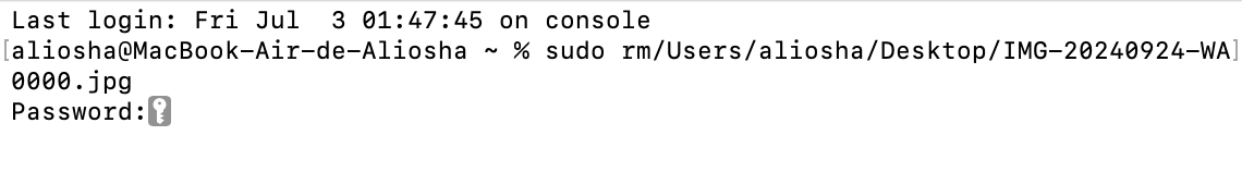 Lorsqu’on vous y invite, saisissez le mot de passe de votre Mac dans le Terminal et appuyez sur Entrée pour exécuter l’opération.