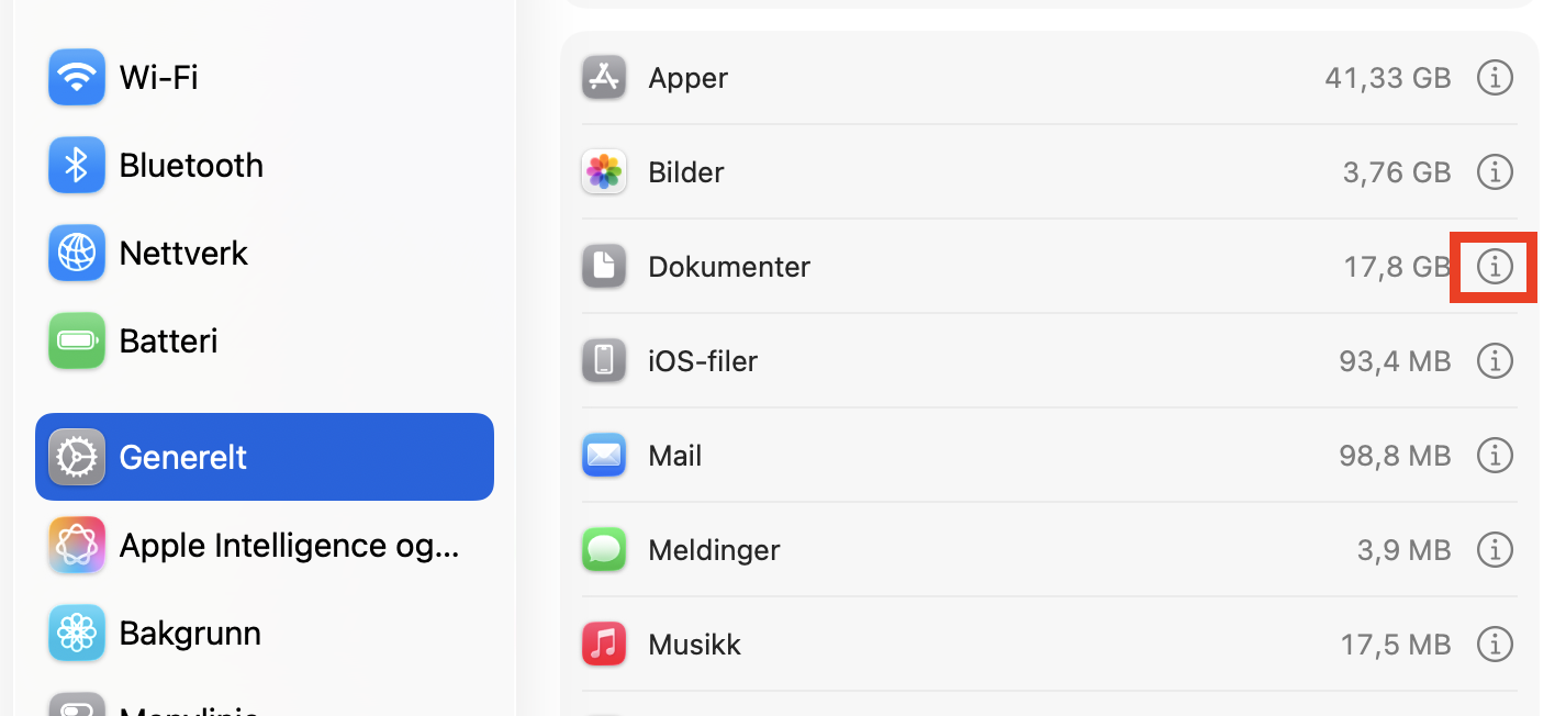 Klikk på informasjonsknappen ved siden av Dokumenter i lagringsinnstillingene for å se store filer
