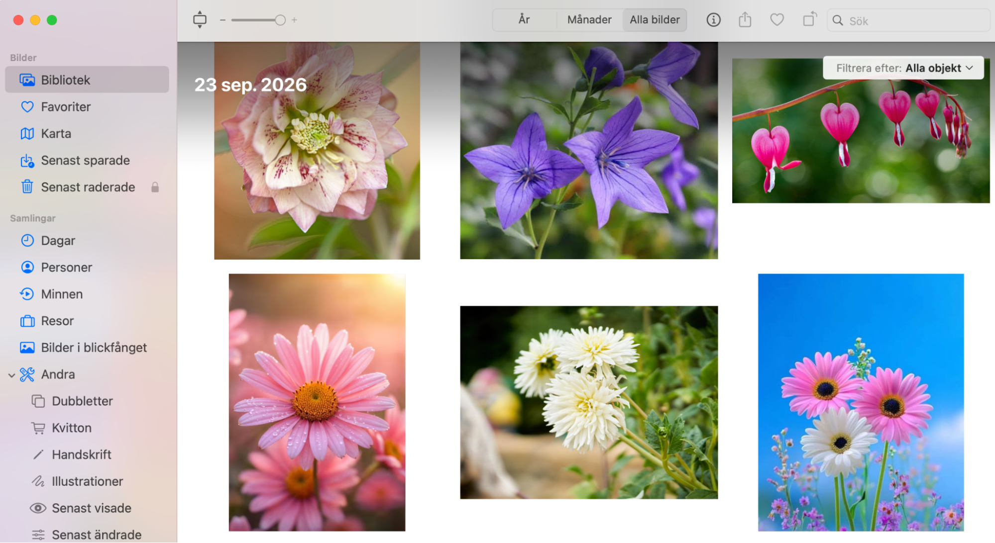 Sedan MacOS Ventura kan appen Foton identifiera dubbletter, men den skannar bara efter dem när appen inte körs. Klicka på 'Dubbletter' i sidofältet för att se dem.