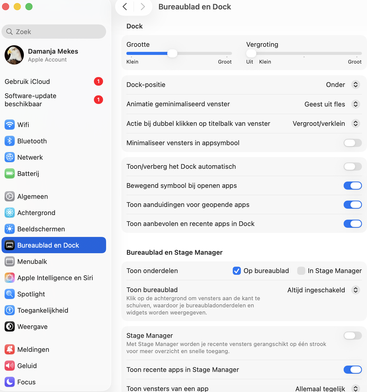 Ga naar Bureaublad en Dock om het gebruik van systeembronnen te minimaliseren