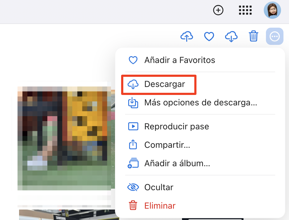 En la página de inicio de iCloud, en Fotos, verás tus cuentas compartidas con diferentes bibliotecas llenas de tus fotos. Busca las imágenes que deseas transferir a tu Mac y haz clic en el icono de la nube para descargarlas.