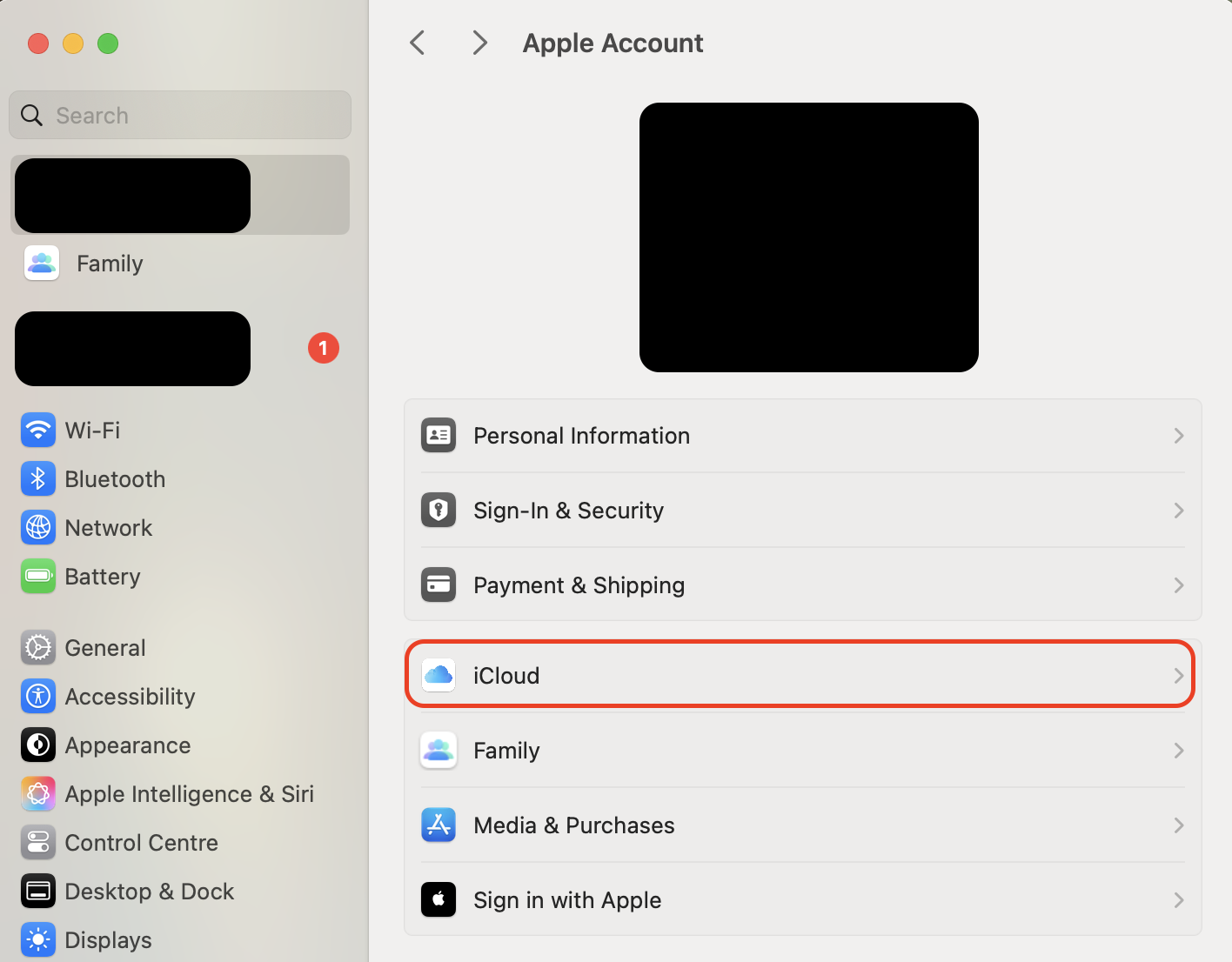 Open iCloud settings, check each member's plan, and ask anyone on a separate iCloud+ subscription to switch to the shared family plan to gain access.