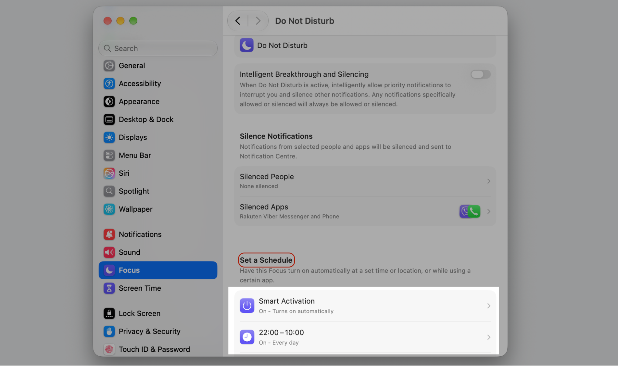 Do Not Disturb Focus in macOS System Settings with Set a Schedule highlighted, showing Smart Activation and a 22:00–10:00 daily schedule.