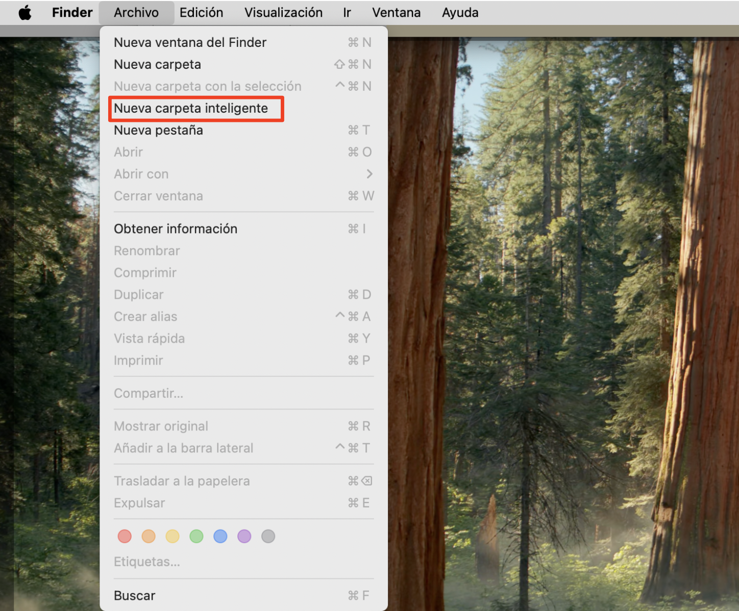 A continuación te explicamos cómo empezar a buscar archivos duplicados en Mac. La aplicación Finder y el menú desplegable Archivo se abren en Mac para que puedas crear una nueva carpeta.