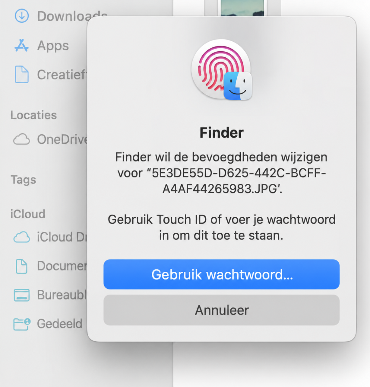 Wanneer je wordt gevraagd je wachtwoord in te voeren of Touch ID te gebruiken, kies je de optie die je voorkeur heeft. Daarna kun je het bestand uit de prullenbak verwijderen.