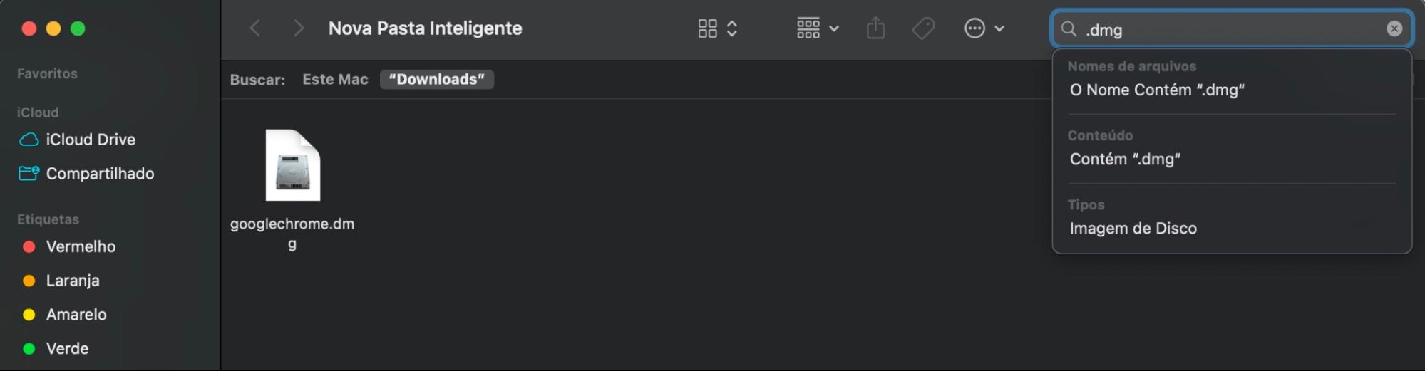 Na caixa de pesquisa, digite .zip ou .dmg para procurar imagens de disco e arquivos compactados no disco do seu Mac. Isso ajudará você a localizar e remover rapidamente imagens de disco e arquivos desnecessários.