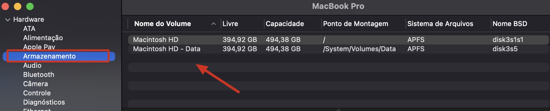 A seção Armazenamento do Relatório do Sistema no Mac. Você encontrará uma lista de unidades reconhecidas aqui, podendo usá-la para verificar se seu disco externo está sendo reconhecido pelo Mac.
