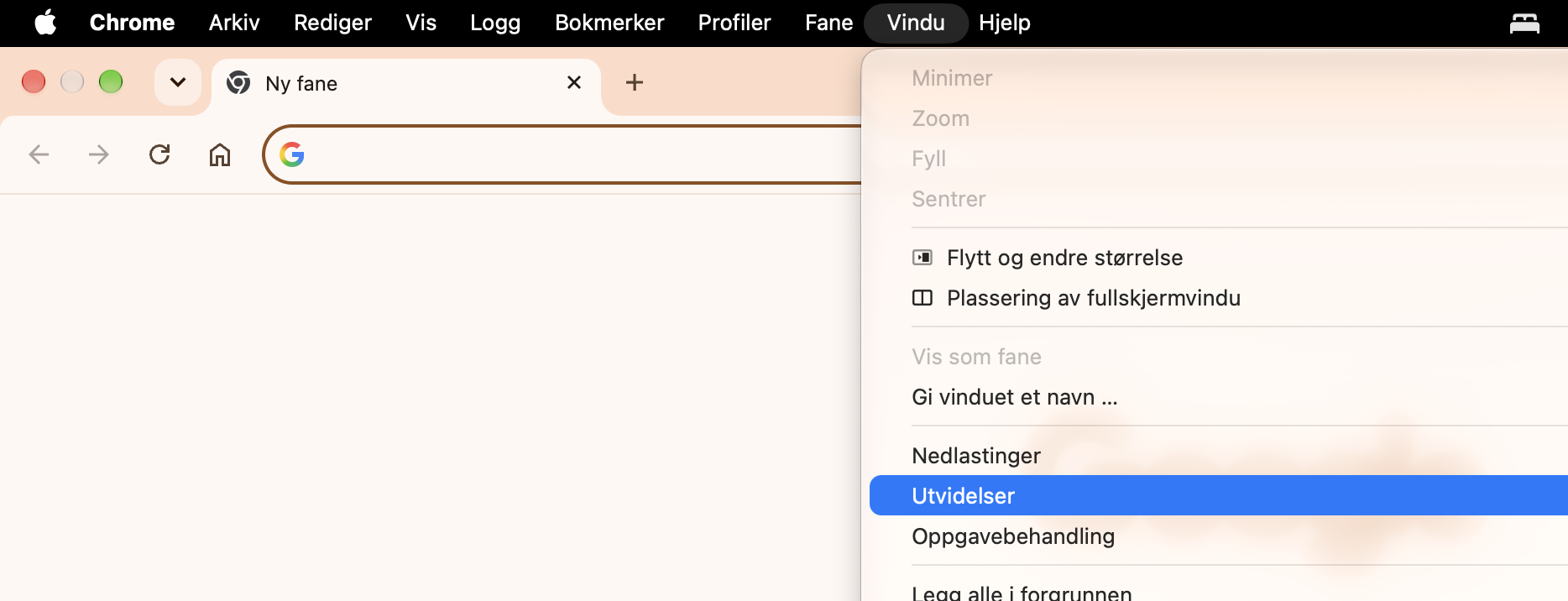 Hvis du ser noe du vil fjerne, går du til Vindu > Utvidelser fra menylinjen for å starte fjerningsprosessen.