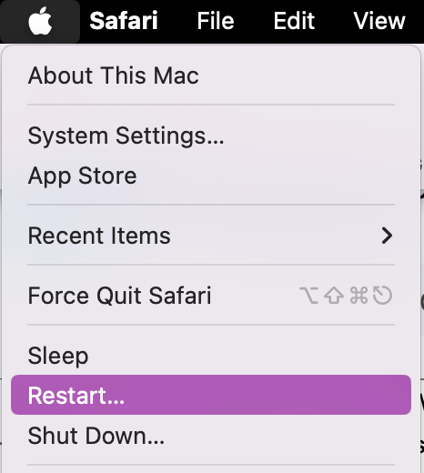 The easiest way to stop all processes and background activity on your laptop or iMac is to restart your device. Just click on the Apple icon and select Restart. This should close or quit all processes so that when you reopen your Mac, it starts fresh.