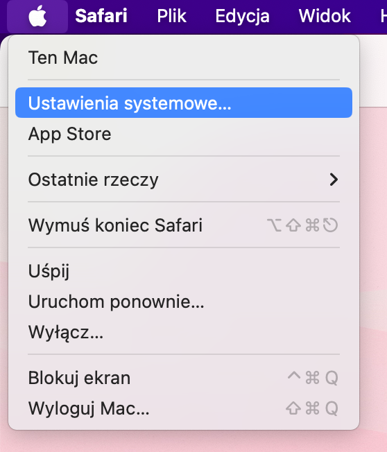 Aby sprawdzić, czy automatyczne aktualizacje Safari są włączone na Twoim Macu, musisz zacząć od kliknięcia ikony Apple na pasku menu i wybrania Ustawień systemowych.
