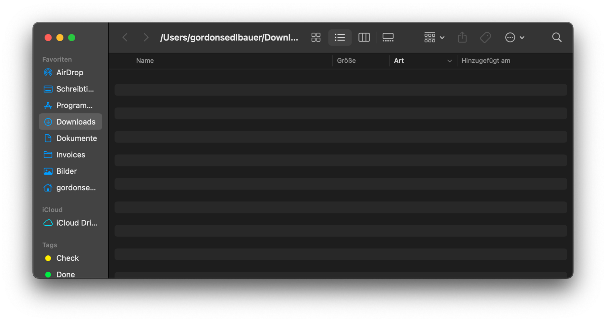Der Ordner Downloads zeigt alle Dateien an, die kürzlich auf das Gerät heruntergeladen wurden.