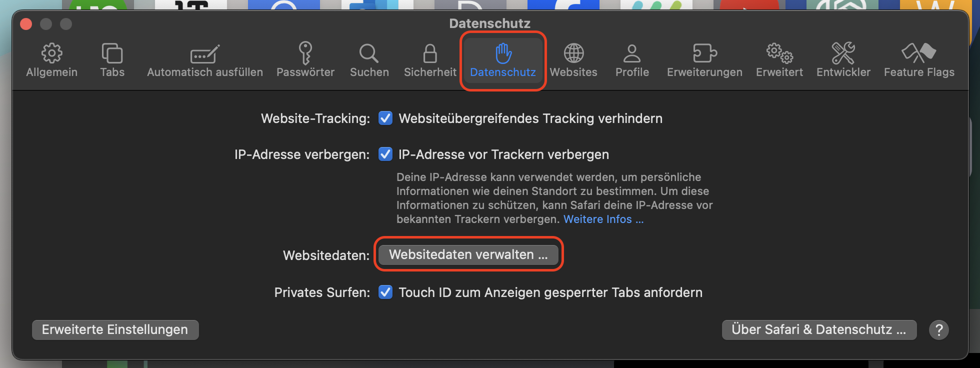Der nächste Schritt in diesem Vorgang besteht darin, die Einstellungen aufzurufen, auf die Registerkarte Datenschutz zu klicken und dann Website-Daten verwalten auszuwählen, um die Optionen zum Leeren des Cache von Safari auf dem Mac anzuzeigen.
