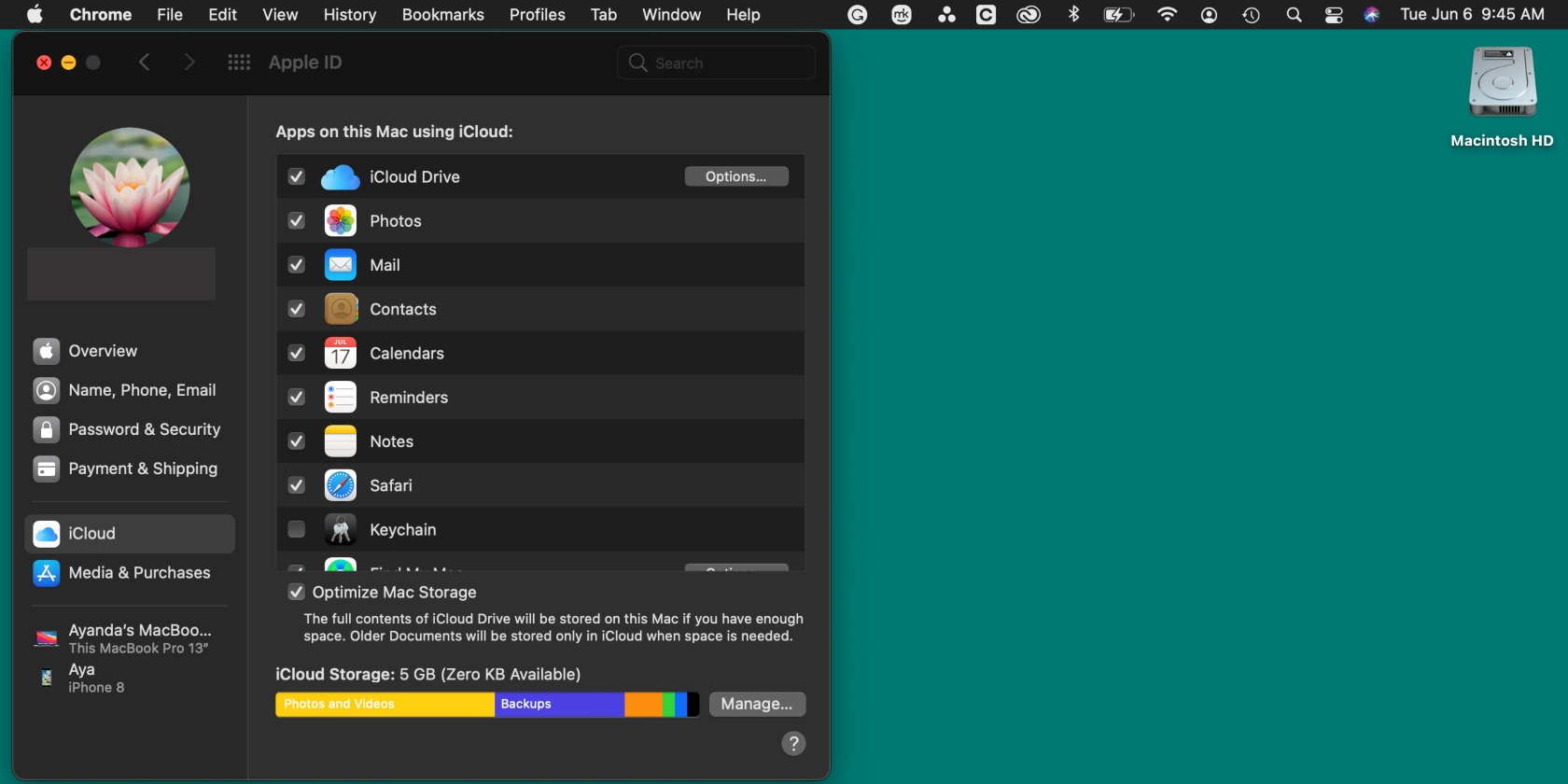 iCloud settings are opened on a Mac screen. Check iCloud storage to determine availability when notes are not syncing between iPhone and Mac.
