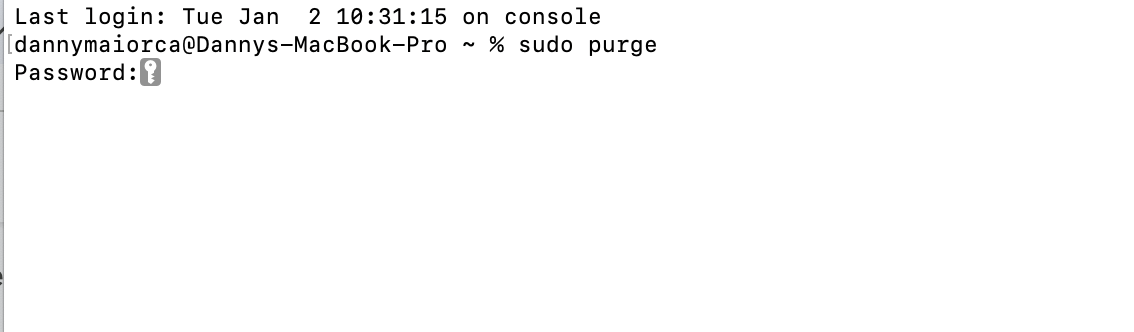 Per ridurre la RAM sul Mac, digita sudo purge nel Terminale. Premi poi il tasto Invio, quindi inserisci la tua password quando richiesto.