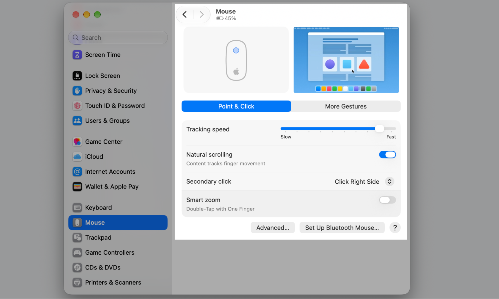Mouse tab in macOS System Settings showing Point & Click options, including the Tracking speed slider and Natural scrolling on an Apple device.
