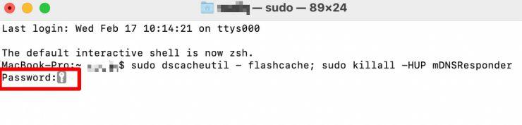Una volta aperto il Terminale, digita la tua password dopo aver inserito il comando sudo dscacheutil -flushcache; sudo killall -HUP mDNSResponder. Premi Invio per continuare.