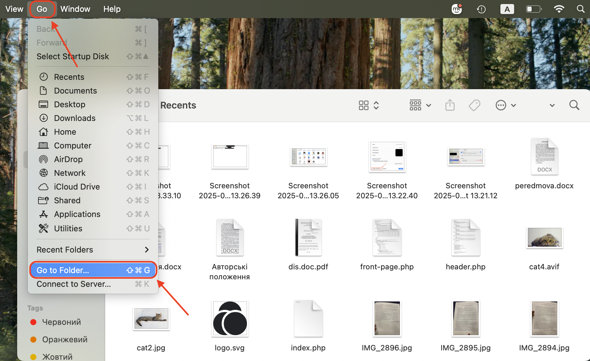 Open Finder, click Go in the top menu, and choose Go to Folder to quickly access specific system directories for troubleshooting tasks.