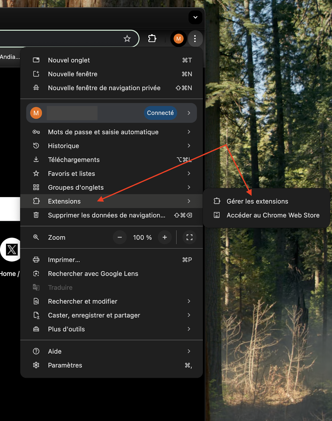 Le menu des réglages dans Google Chrome sur macOS Monterey. Cliquez sur Extensions, puis sur Gérer les extensions pour retirer toutes celles dont vous n'avez pas besoin.