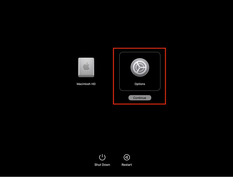 To use macOS Recovery Mode on your Mac and solve the Couldn’t open device 69877 error, select Options, then click Continue.