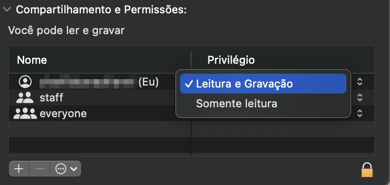 Você deve verificar se tem permissões de Leitura e Gravação. Se não tiver, não será possível fazer nenhuma alteração, incluindo copiar e colar no seu Mac.