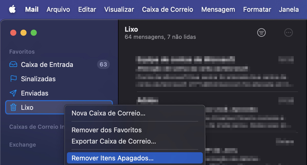 Depois de excluir o email escolhido da sua caixa de entrada, é importante ir até o Lixo da sua caixa de correio e clicar em Remover Itens Apagados para removê-los completamente do seu sistema.