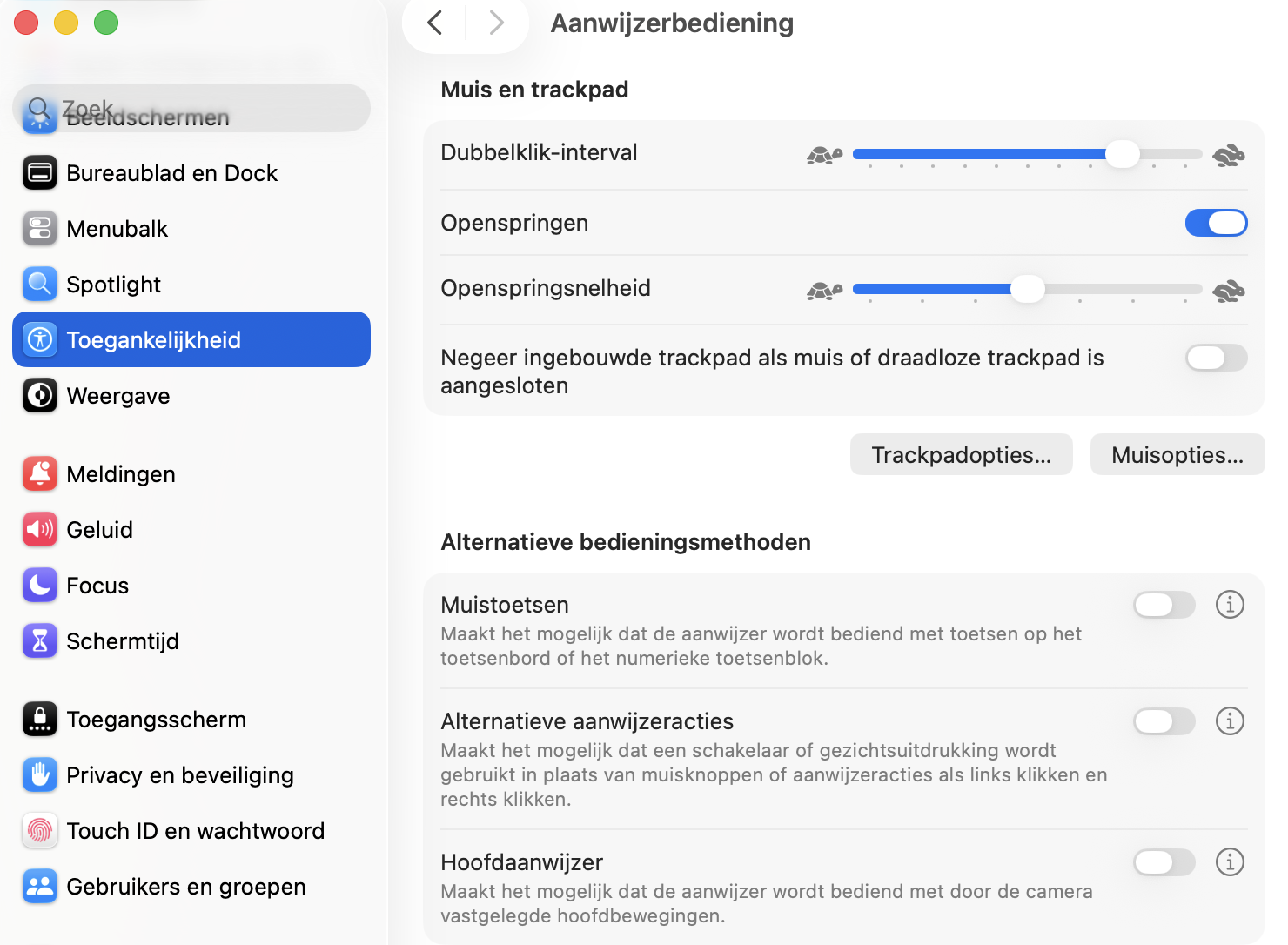 Bekijk in Pijlbesturing de sectie Alternatieve bedieningsmethoden. Als je geen van deze opties nodig hebt, zet ze dan uit en probeer je muis opnieuw.