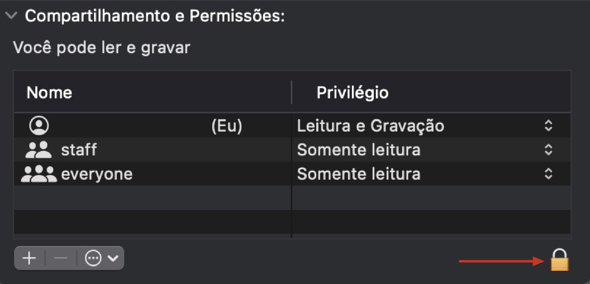 Na parte inferior da tela vai aparecer um ícone de cadeado. Clique nele para editar permissões e privacidade e assim poder eliminar.