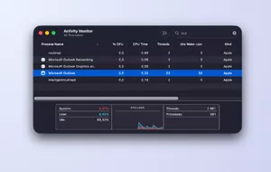 Outlook High CPU Usage on Mac