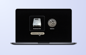 Start Mac in Safe Mode